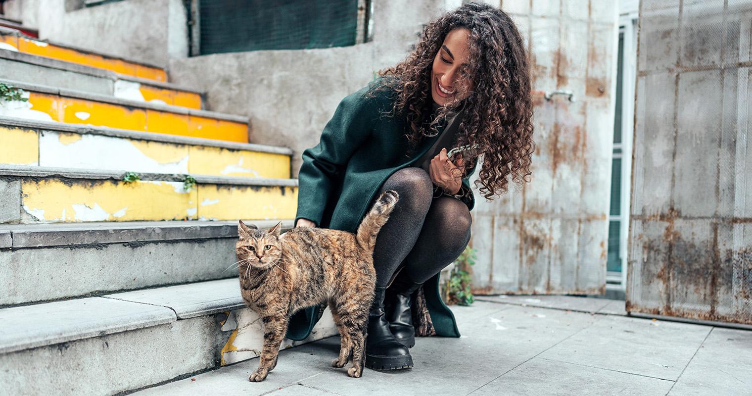 Everything You Need to Know About Adopting a Stray Cat