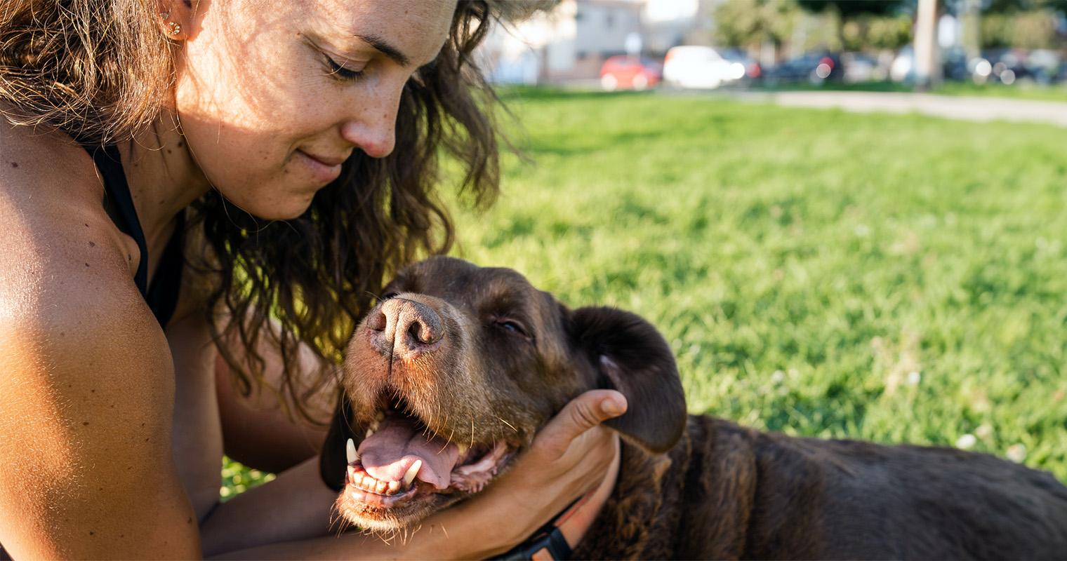 12 Science-Backed Reasons Dogs Make the Best Pets 