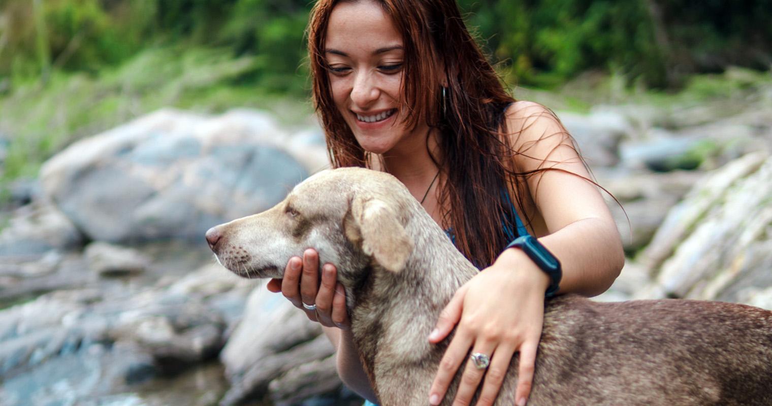 Everything to Know About Adopting a Stray Dog 