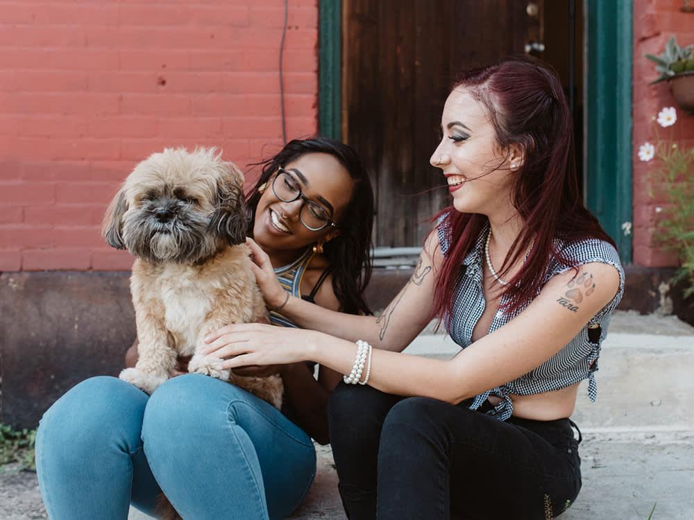 two woman socializing with dog