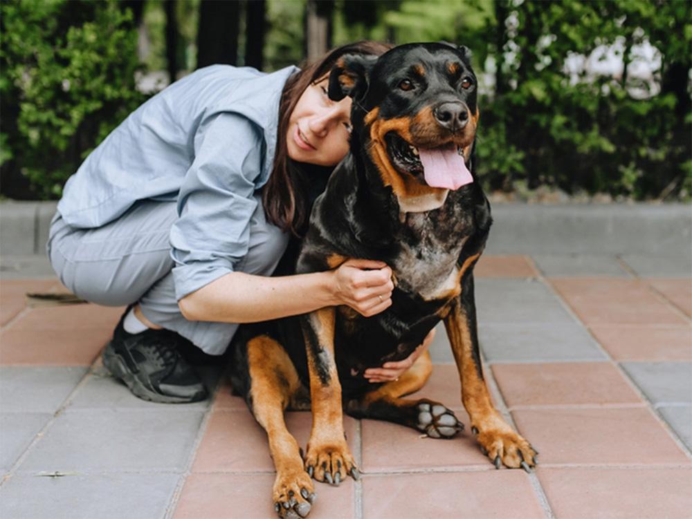 trained Rottweiler with woman