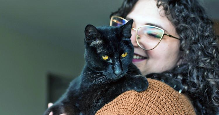 Adopting a Cat with Feline Herpes