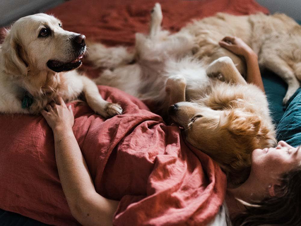 woman sleeping next to two dogs
