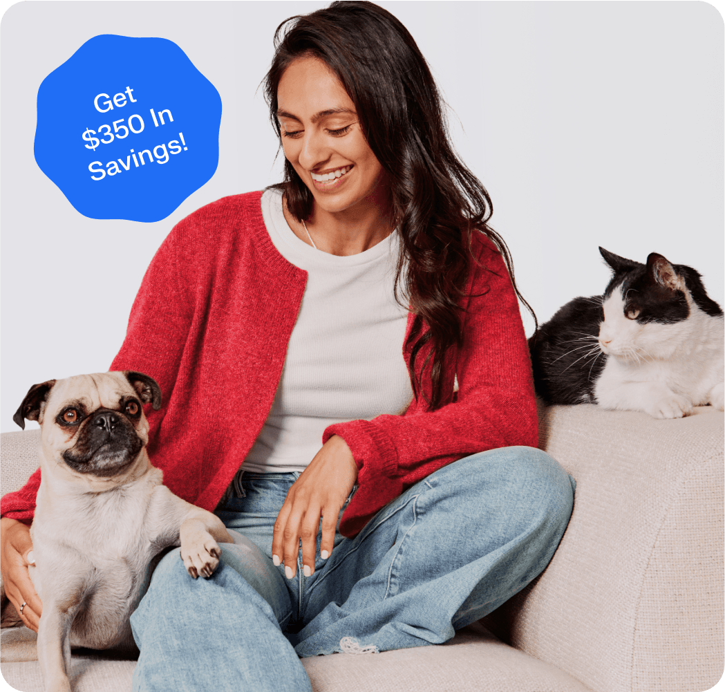 Petsmart ad image - header