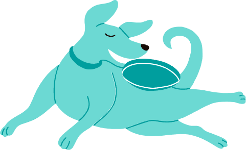 Redbone Coonhound Mixes picture