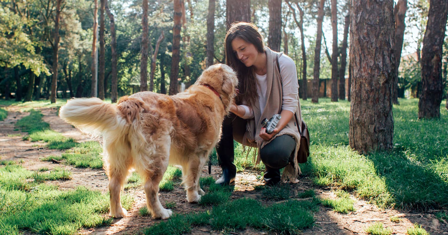 What to Know Before Adopting a Dog with Lyme Disease