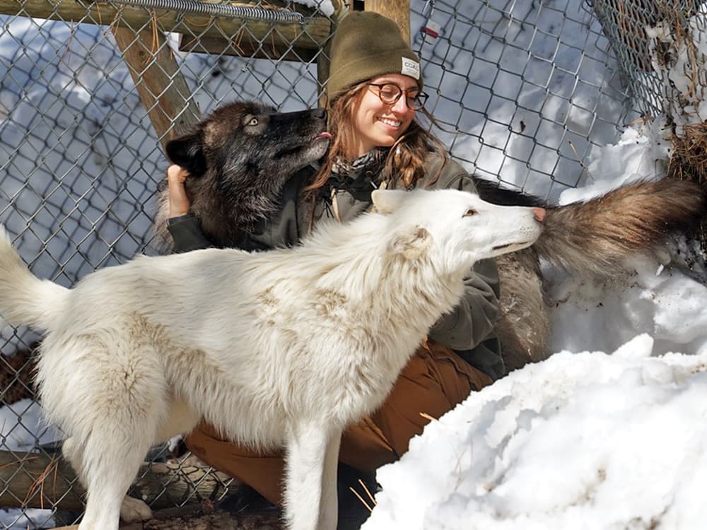 woman with wolfdog mixes