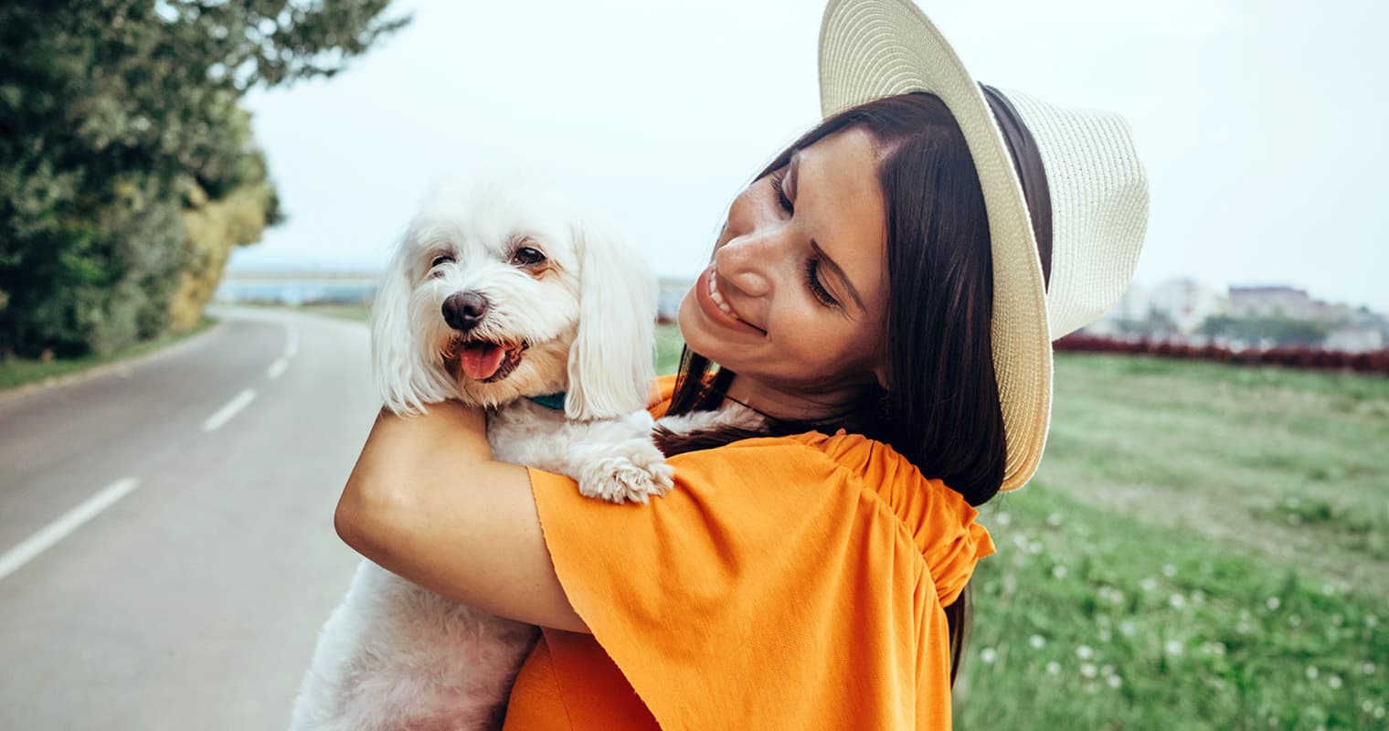 Low-Maintenance Small Dog Breeds: Perfect BFFs for Busy Lifestyles
