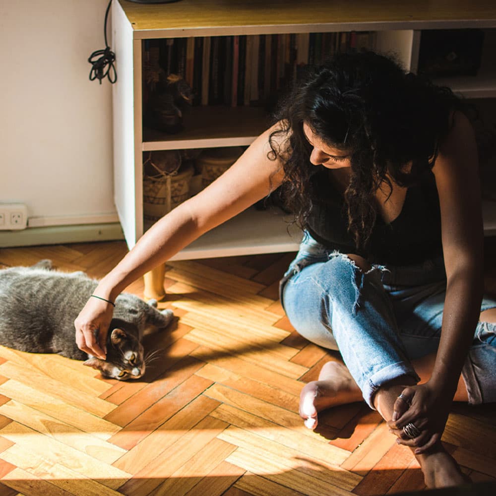 Meet & Greet Tips: How to Approach a Cat at an Adoption Visit