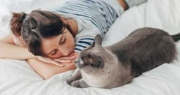 Do Hypoallergenic Cats Exist? Tips to Manage Cat Allergies