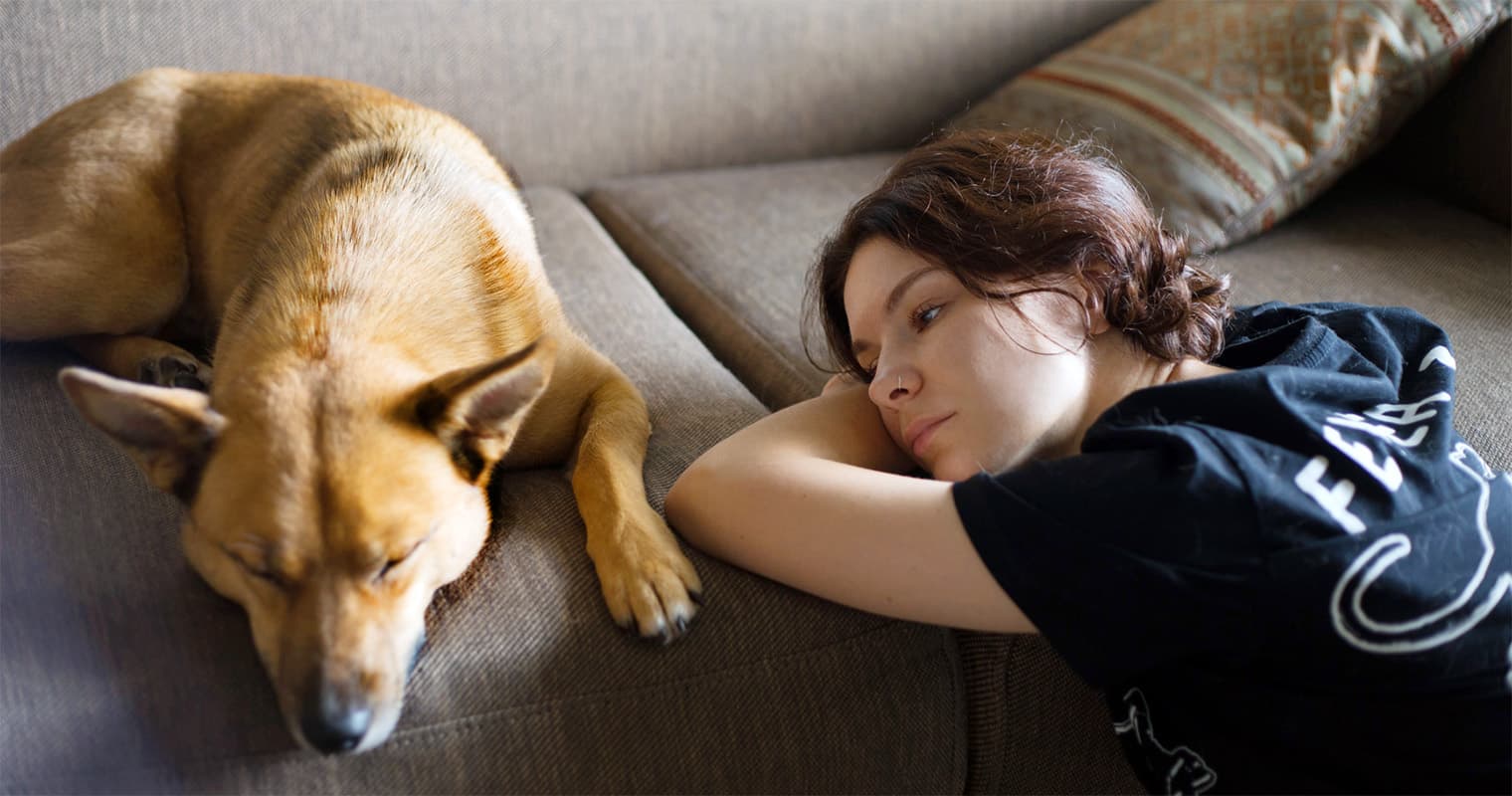 The 3-3-3 Rule For Dogs: Rescue Dog Adjustment Period Explained