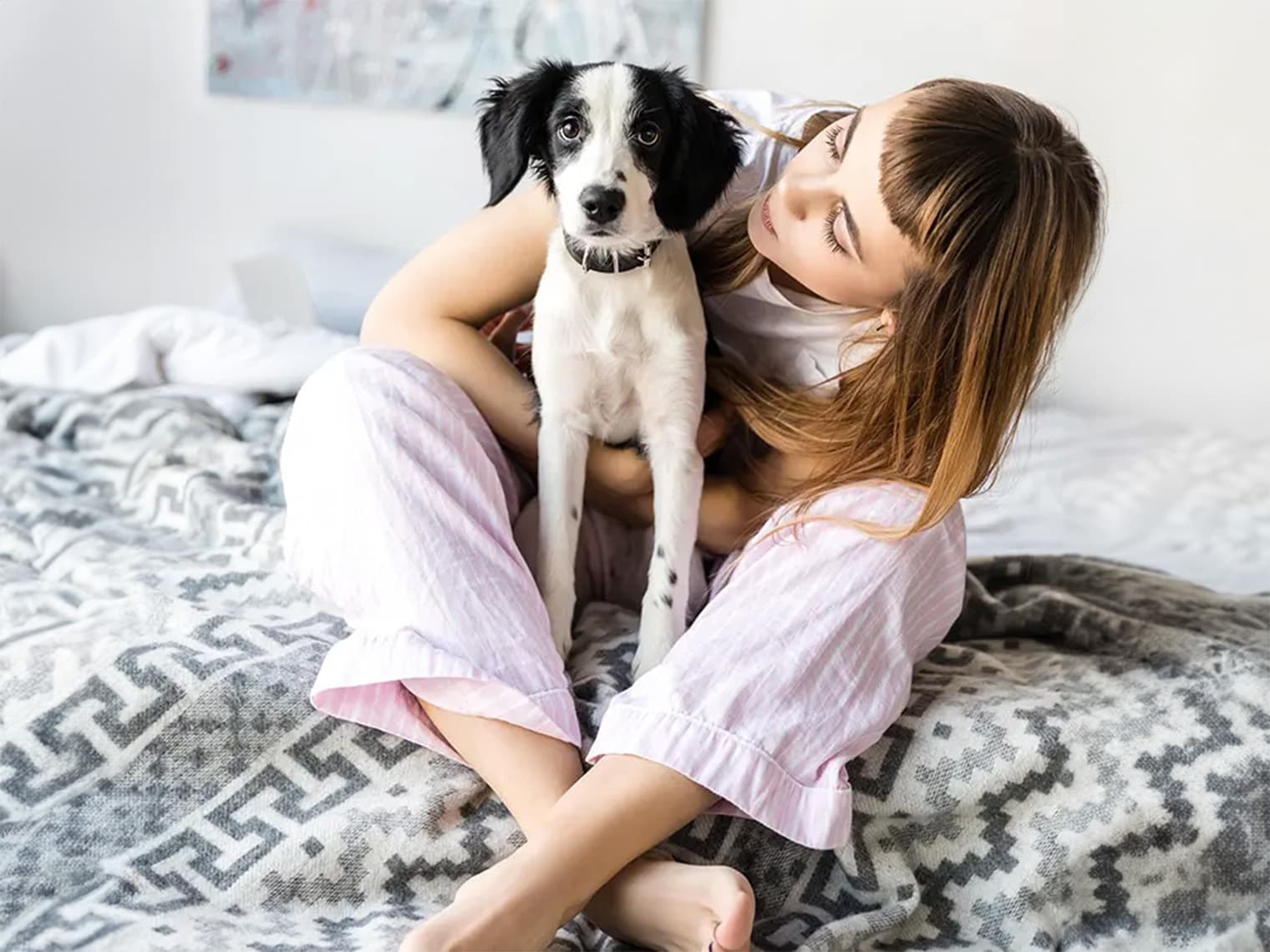 Thinking About Adopting a Pet? Six Not-So-Scary Things About Pet Adoption