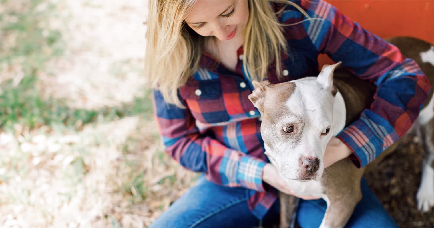 What You Need to Know About Hyperthyroidism in Dogs