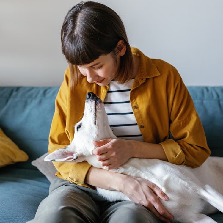 Soul Dog: Finding a Dog Who Steals Your Heart