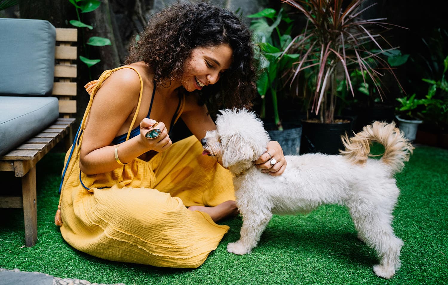 deaf dog being trained