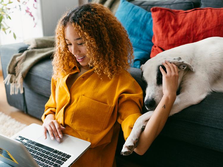 What to Know About Pet Adoption Paperwork